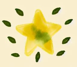 Little Star Garden
